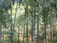 -山沟沟景区