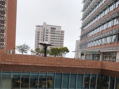 -香港大学