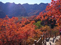 -周口店坡峰岭风景区
