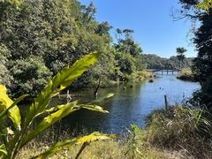-海南热带雨林国家公园吊罗山景区