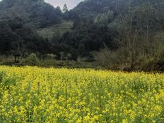 -靖西鹅泉风景区