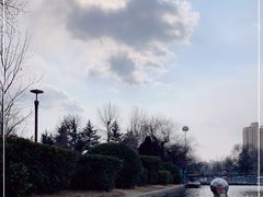 -莱西月湖公园