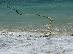 -滴水丹屏