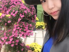 -廊坊文化艺术中心