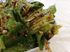 -东吴霸王兔(松青路店)