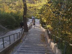 -风车面包