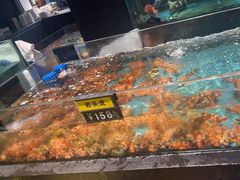 -龙宴海鲜城(经中路店)