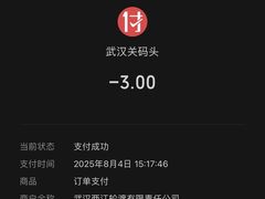 -武汉关码头(轮渡站)