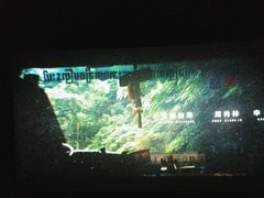 -博纳国际影城IMAX(中央大道店)