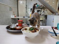 -玲玲饮食店