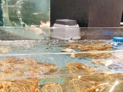 -龙宴海鲜城(经中路店)