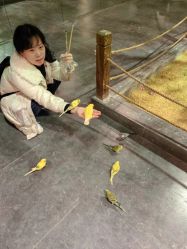 -酷嗒动物文化乐园(cutezoo西溪乐天城店)