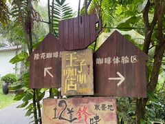 -兴隆隆苑咖啡庄园