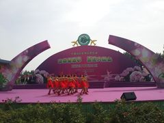 -西瓜小镇