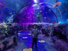 -沈阳海洋探索中心