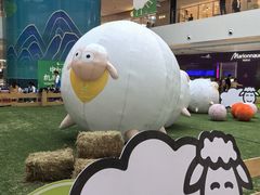 -阳光天地