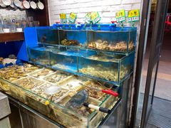 -潮庭·大连海鲜·炭火烧烤·扇贝王(大连店)