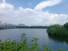 -厦门园林博览苑