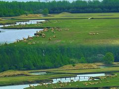 -溱湖国家湿地公园