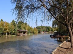 -上海长兴岛郊野公园