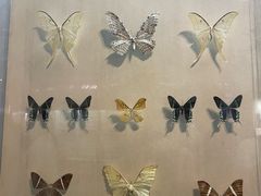 -陕西自然博物馆