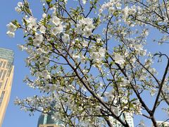 -西北湖绿化广场