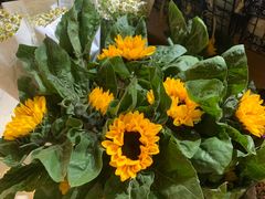-L.C FLORA花予你(城西银泰城店)