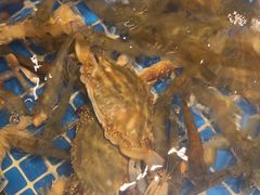 -小时候焗海鲜(鄞州万达店)