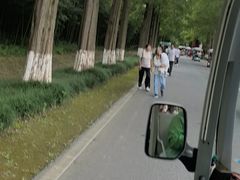 -黄海国家森林公园