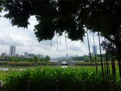 -南宁南湖公园