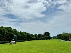 -宜兴龙背山森林公园
