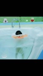 -鱼乐贝贝婴幼儿水育馆(高桥红坊店)
