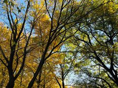 -国家植物园南园