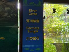-河川生态园
