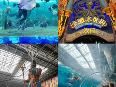 -哈尔滨波塞冬海底世界