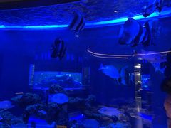 -上和臻品中国菜(花园街店)