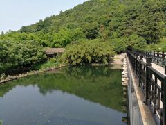 -九龙潭景区