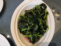 清炒苋菜-古南都·江苏酒家(建宁路店)