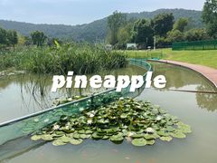 -上方山森林动物世界
