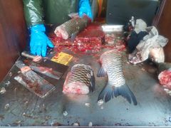 -梅记大块头爆鱼店(乍浦路店)