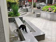 -老北京风情街