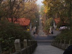 -东湖磨山景区