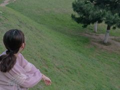 -丁香湖公园