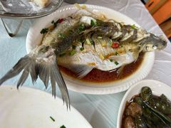-小六农家乐(崇明西沙湿地店)