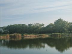 -永定河休闲森林公园