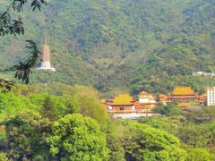 -深圳仙湖植物园