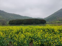 -八卦田遗址公园