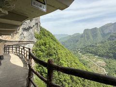 -鹿院坪生态旅游景区