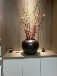 -艾维庭美学SPA