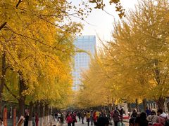 -辽宁大学(崇山校区)